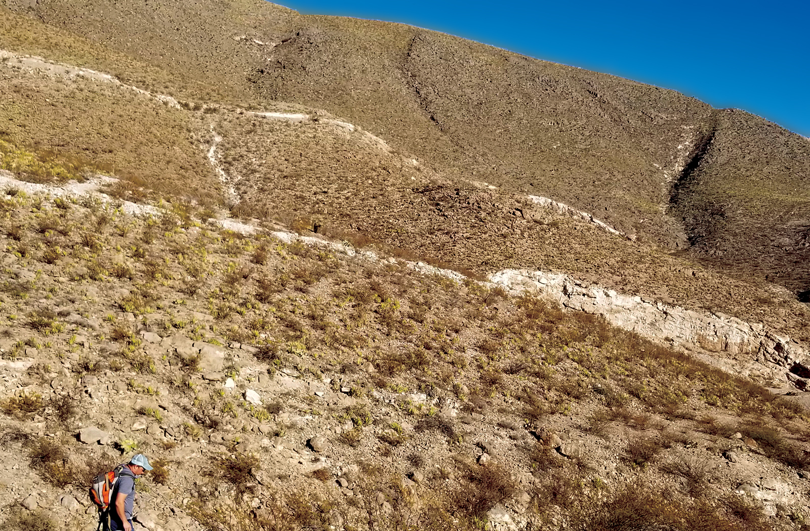 Organ Mountains, NM
